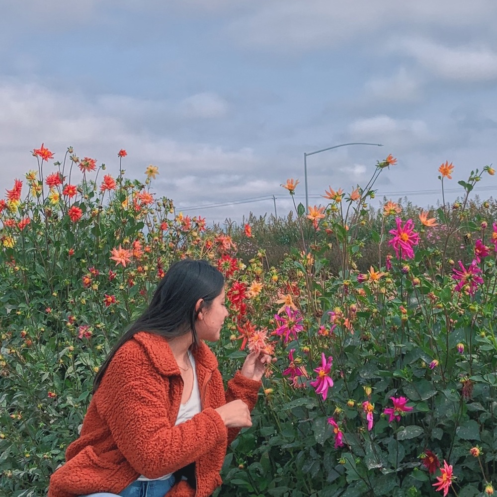 Meet your Posher, Sofia